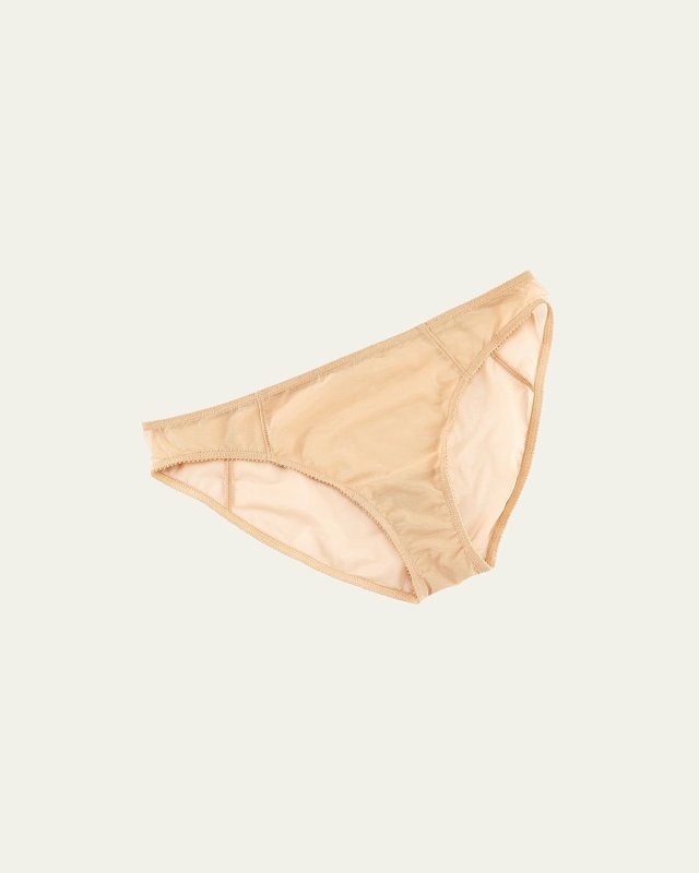 Revelation Mesh Bikini Briefs